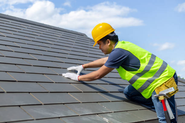 Best Storm Damage Roof Repair  in Cannon Af, NM